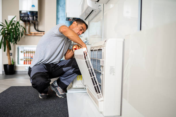 Best Emergency Air Duct Cleaning  in Flat Rock, MI